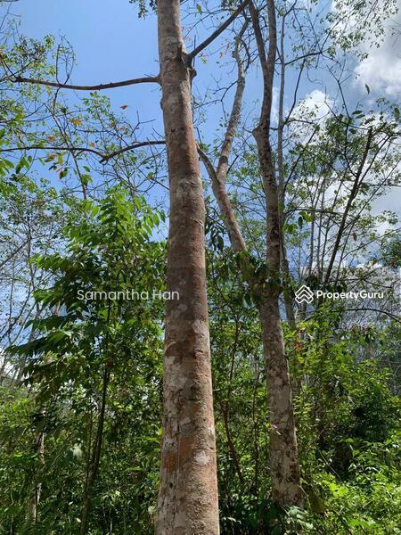 Untuk Dijual - Bentong Pahang