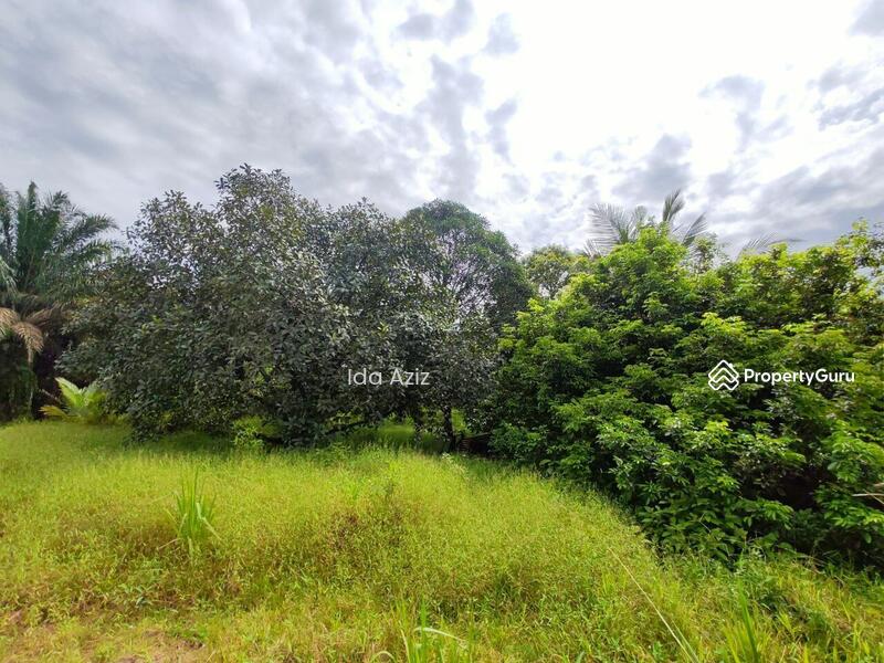 For Sale - Kulai Kulai Kulais