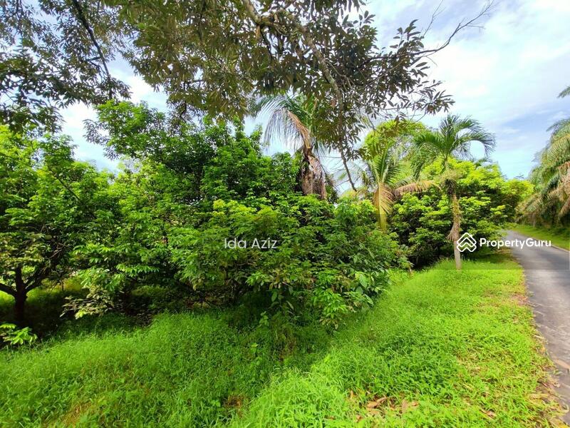 For Sale - Kulai Kulai Kulais