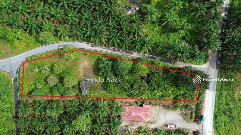 For Sale - Kulai Kulai Kulais