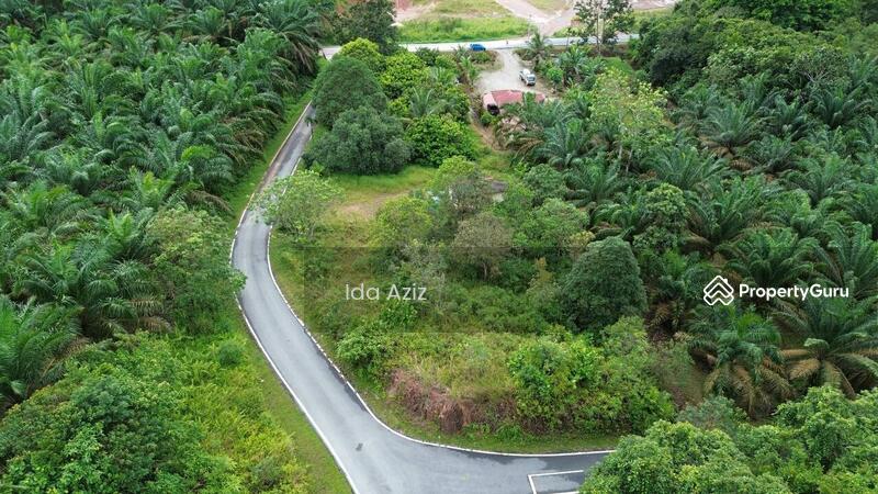 For Sale - Kulai Kulai Kulais