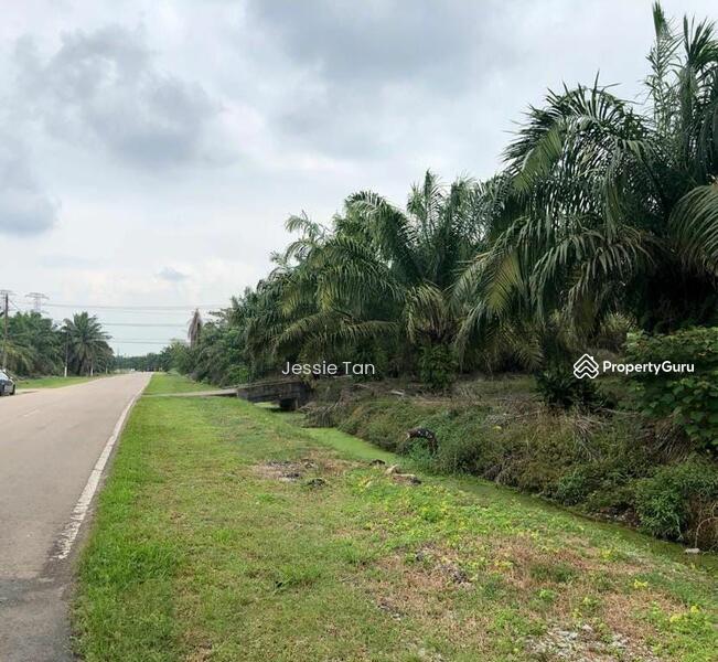 For Sale - Pekan Nana Pekans Nanas