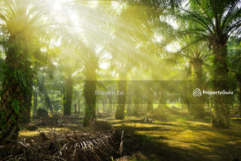 Land untuk Untuk Dijual - RM 6,900,000, Mac 2026 - PropertyGuru.com.my