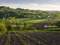 For Sale - Pontian Agriculture Land