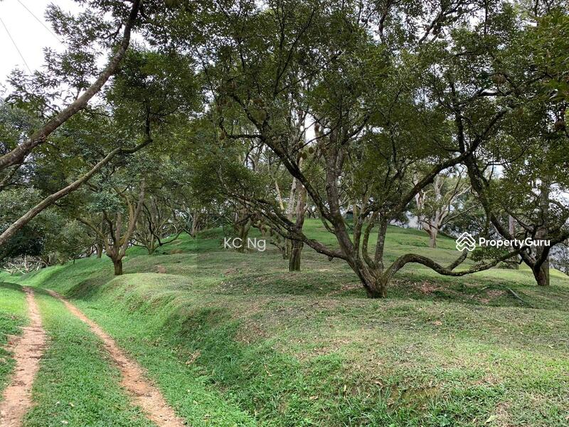Untuk Dijual - Raub Bentong Pahang Durian Orchard For Sale.