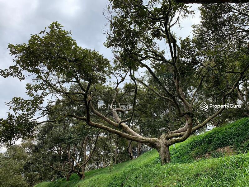 Untuk Dijual - Raub Bentong Pahang Durian Orchard For Sale.