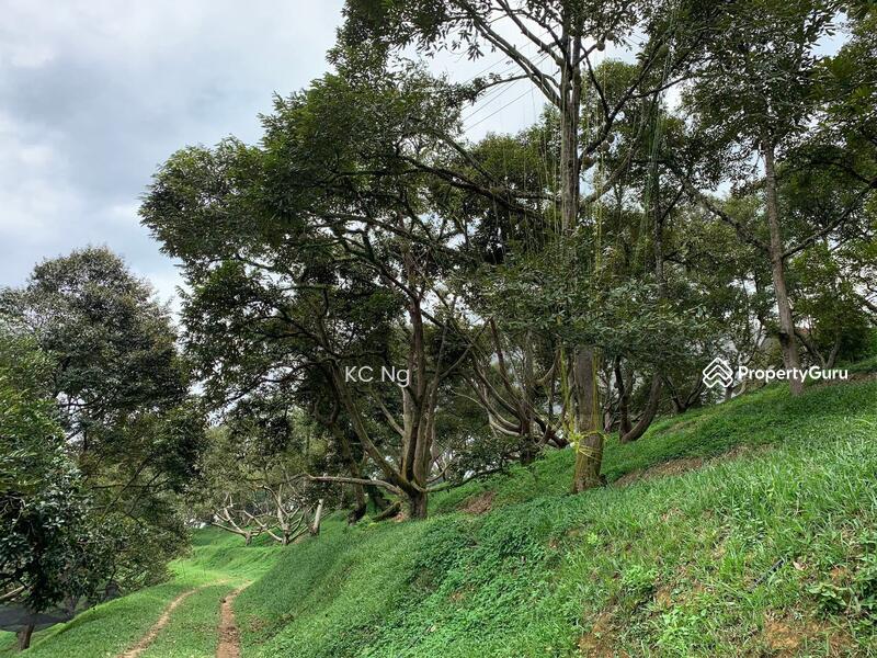Untuk Dijual - Raub Bentong Pahang Durian Orchard For Sale.
