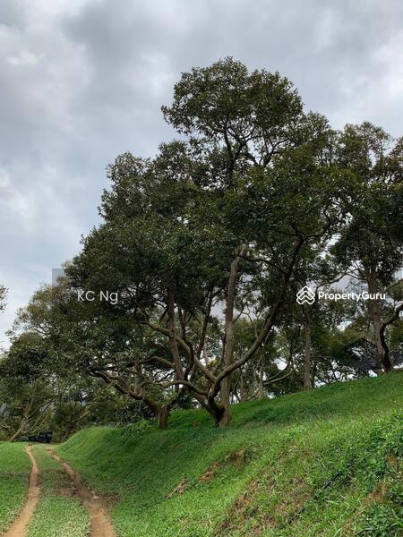 Untuk Dijual - Raub Bentong Pahang Durian Orchard For Sale.