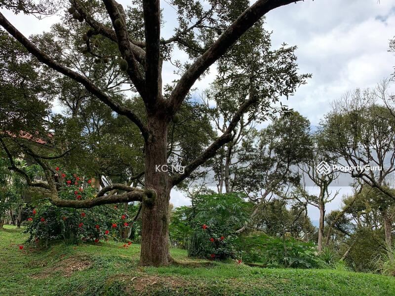Untuk Dijual - Raub Bentong Pahang Durian Orchard For Sale.