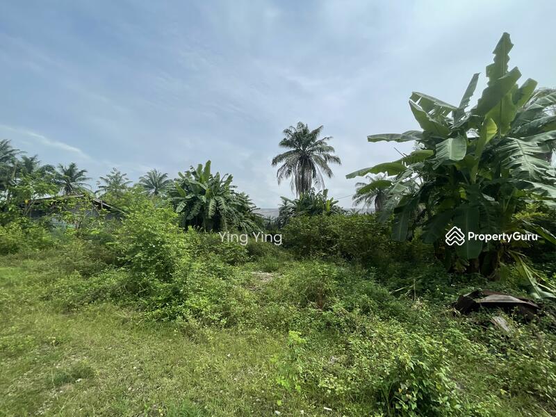 Untuk Dijual - Kedah Alor Setar Agricultural Land For Sale RM5.5/sqft Freehold 6.9 Acres