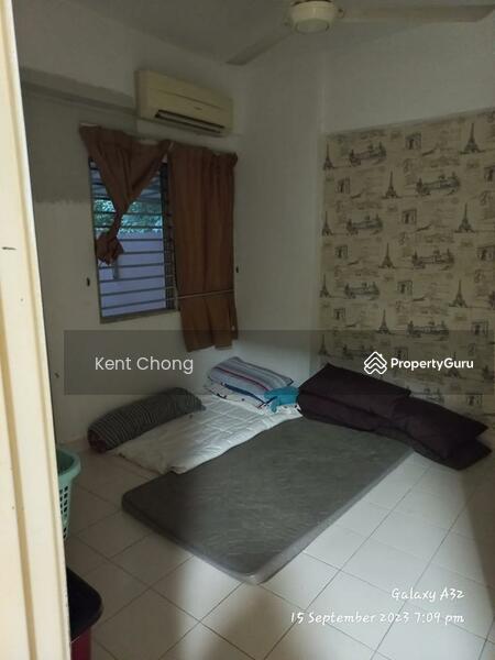 Untuk Dijual - Sering Casuarina