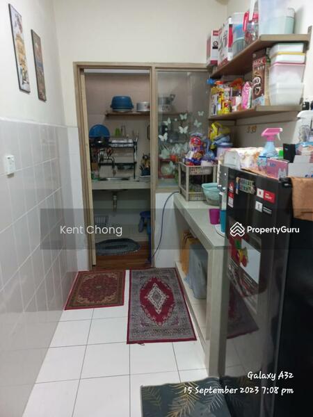 Untuk Dijual - Sering Casuarina