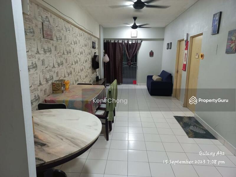 Untuk Dijual - Sering Casuarina