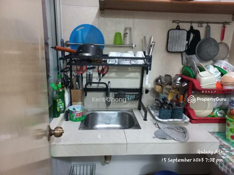 Untuk Dijual - Sering Casuarina