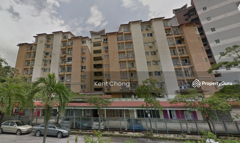 Untuk Dijual - Sering Casuarina