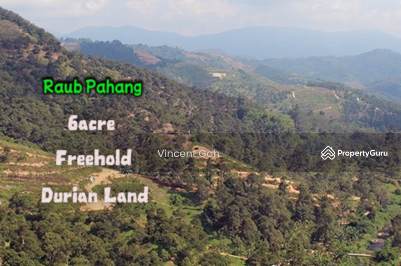 For Sale - Raub Pahang 6acre Durian Land