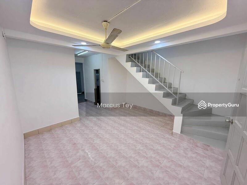 For Sale - Muar Muar Muars