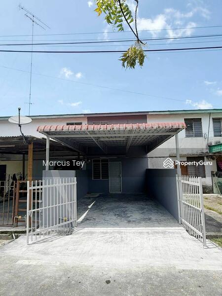 For Sale - Muar Muar Muars