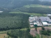 For Sale - Kampung Kedundung Pokok Sena