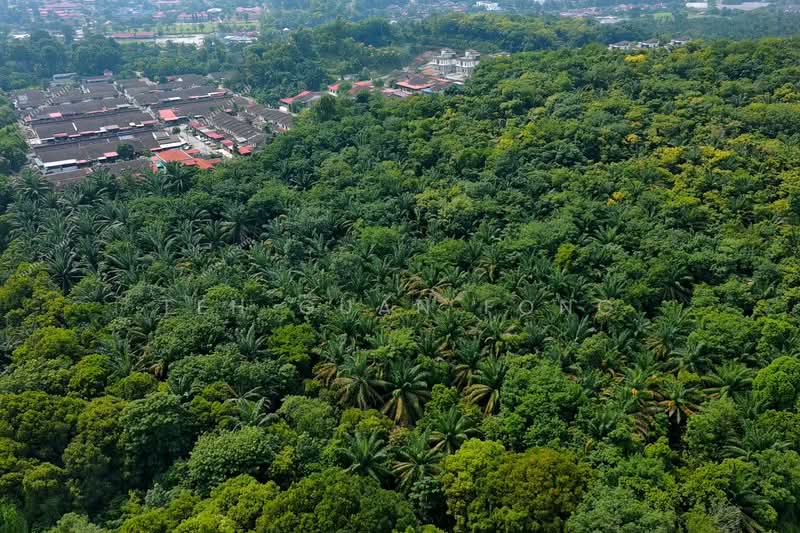 For Sale - 20.69 acres Converted Residential Land | Kulim Town | Kedah Rm25psf