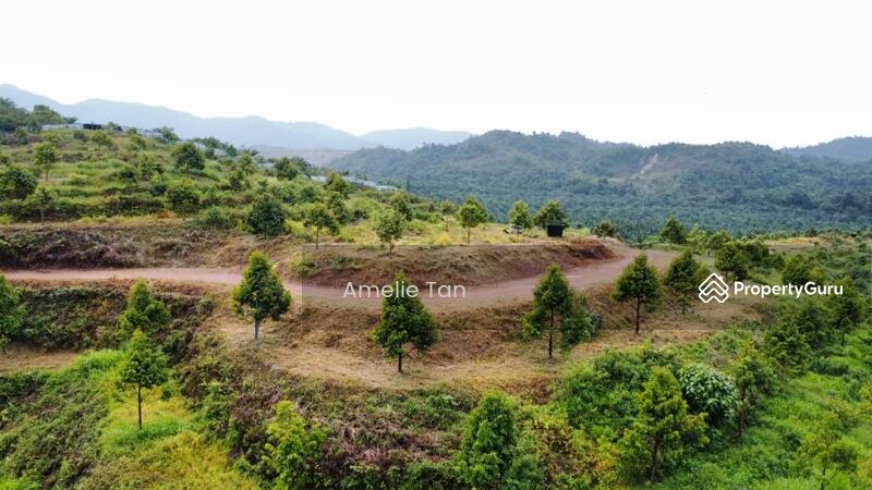 Agricultural Land for Sale in Kuantan (Pahang) - Amelie Tan - PropertyGuru.com.my