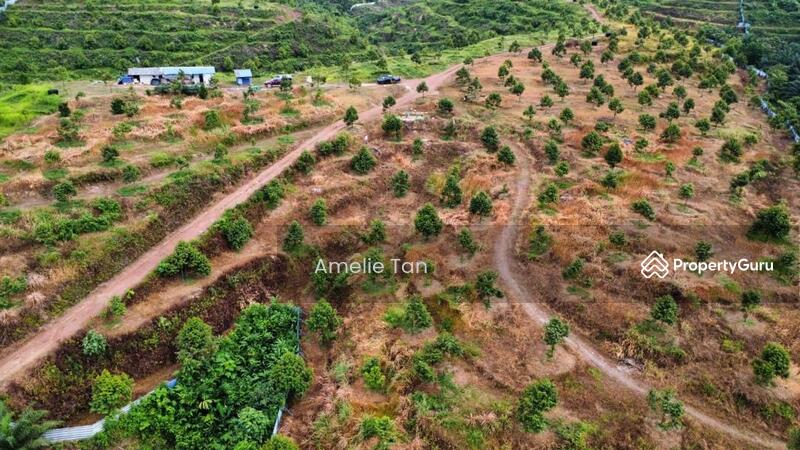 Agricultural Land for Sale in Kuantan (Pahang) - Amelie Tan - PropertyGuru.com.my