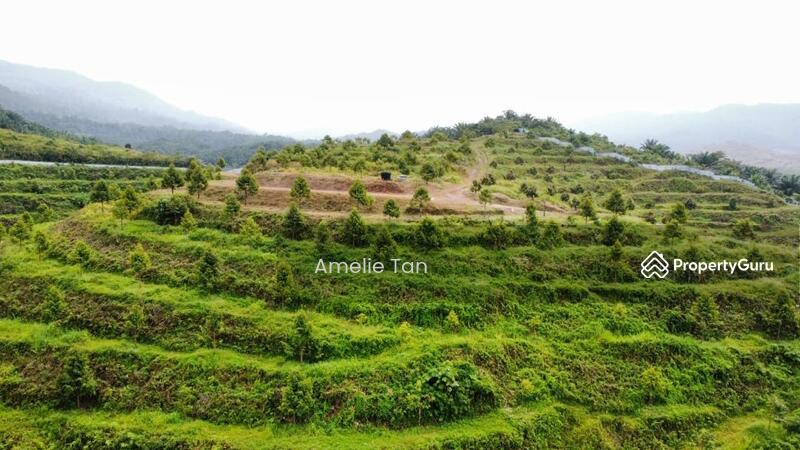 Agricultural Land for Sale in Kuantan (Pahang) - Amelie Tan - PropertyGuru.com.my