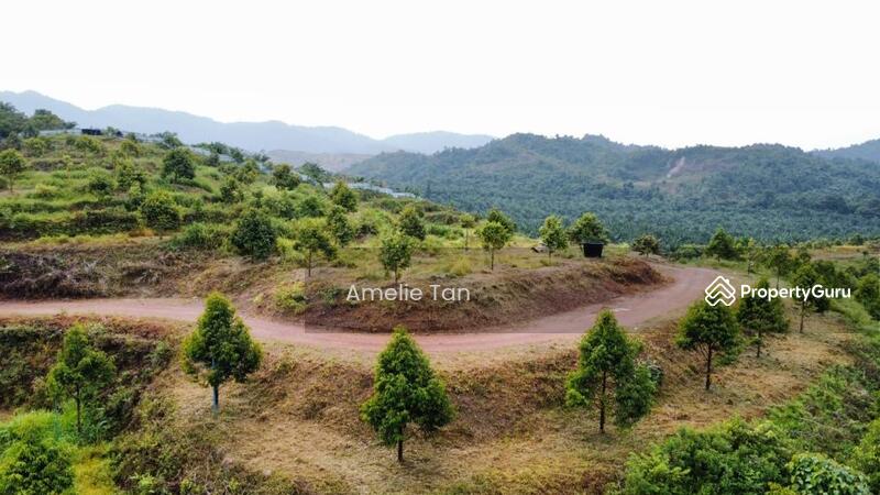 Agricultural Land for Sale in Kuantan (Pahang) - Amelie Tan - PropertyGuru.com.my