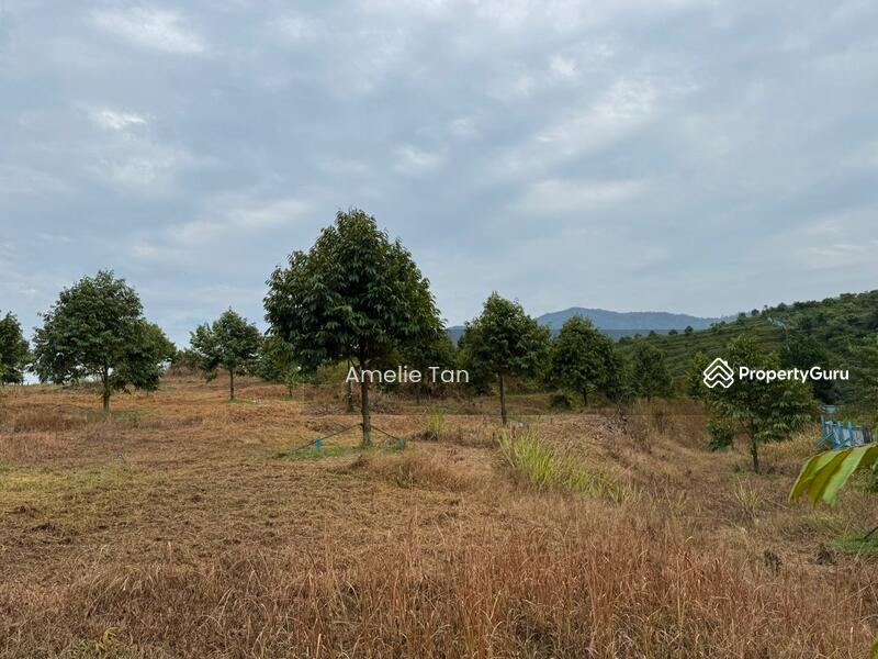Agricultural Land for Sale in Kuantan (Pahang) - Amelie Tan - PropertyGuru.com.my