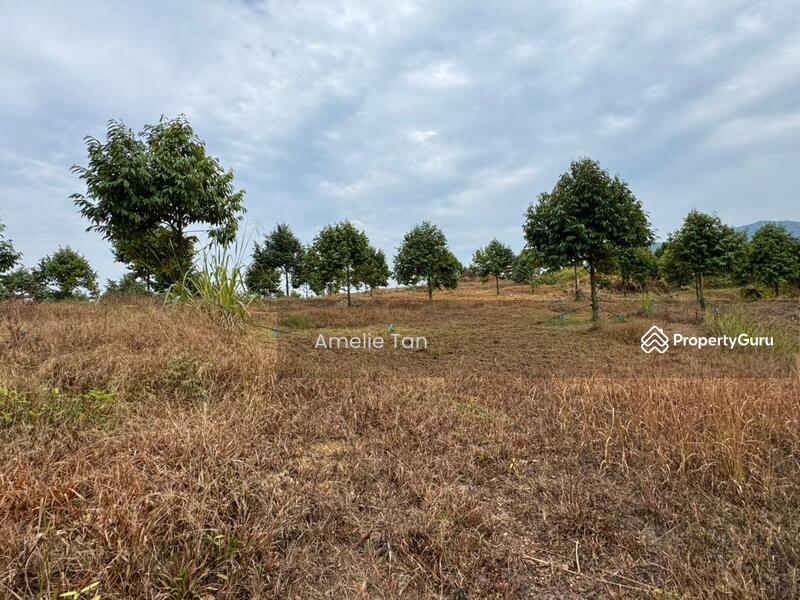 Agricultural Land for Sale in Kuantan (Pahang) - Amelie Tan - PropertyGuru.com.my