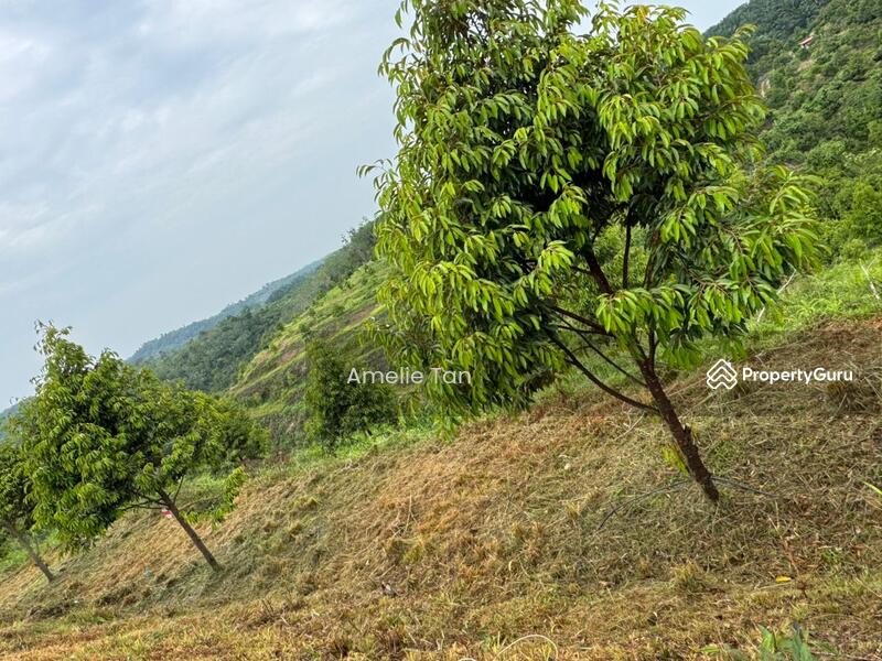 Agricultural Land for Sale in Kuantan (Pahang) - Amelie Tan - PropertyGuru.com.my