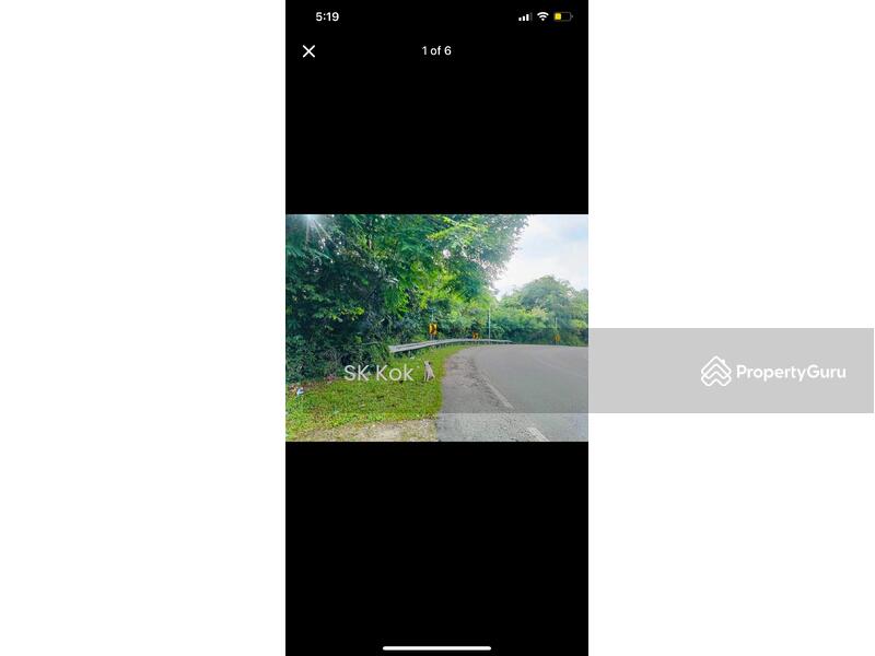 For Sale - Lawan Kuda Kota Bahru