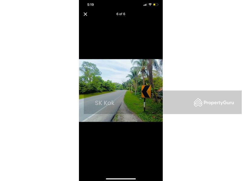 For Sale - Lawan Kuda Kota Bahru