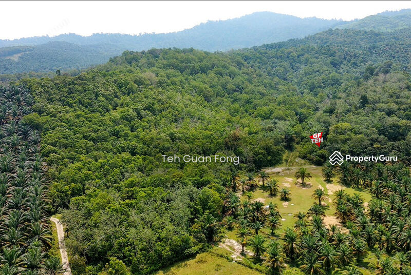 Tanah Kediaman untuk Dijual di Kampung Padang (Kulim) - Teh Guan Fong - PropertyGuru.com.my