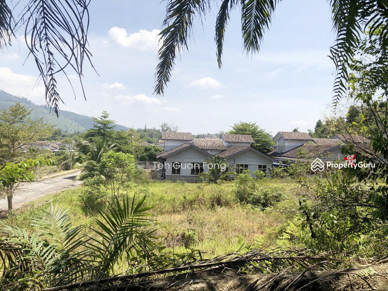 Tanah Pertanian untuk Dijual di Kampung Padang (Kulim) - Teh Guan Fong - PropertyGuru.com.my