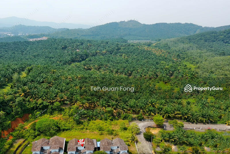 Tanah Pertanian untuk Dijual di Kampung Padang (Kulim) - Teh Guan Fong - PropertyGuru.com.my