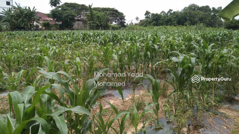 For Sale - Kampung Sireh Kota Bharu Kelantan