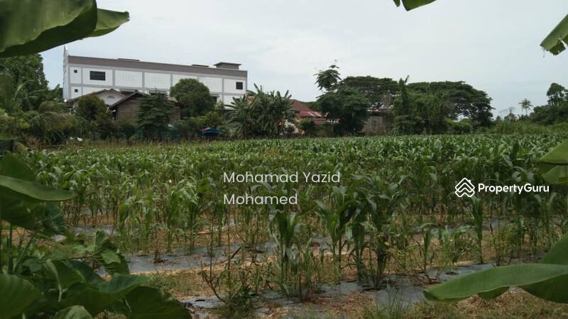 For Sale - Kampung Sireh Kota Bharu Kelantan