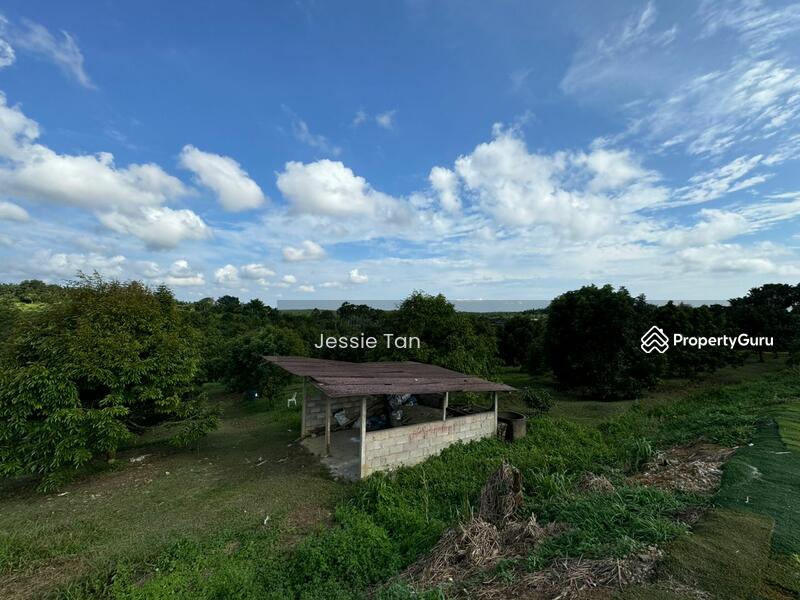 Untuk Dijual - Kulai Kulai Kulais