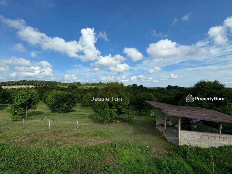 Untuk Dijual - Kulai Kulai Kulais