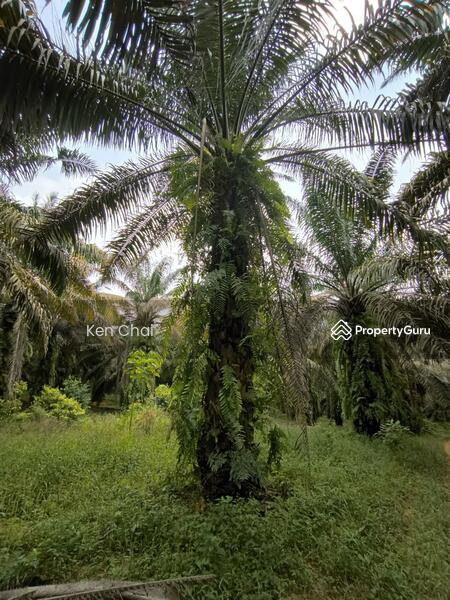 Kota Tinggi untuk Untuk Dijual - RM 4,287,500, Mac 2026 - PropertyGuru.com.my