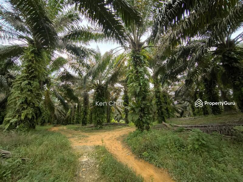 Kota Tinggi untuk Untuk Dijual - RM 4,287,500, Mac 2026 - PropertyGuru.com.my