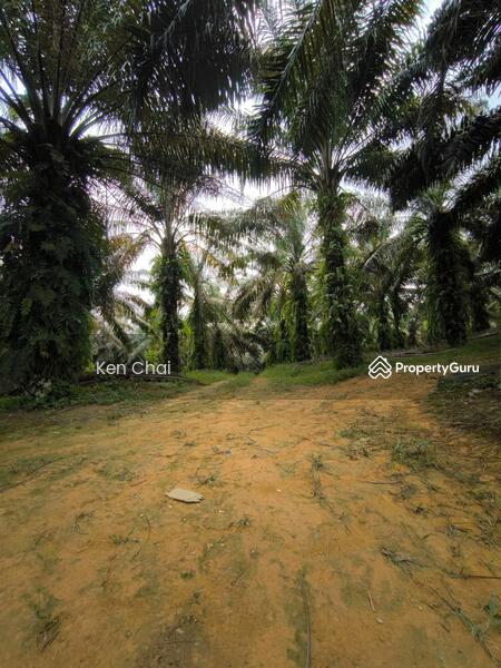 Kota Tinggi untuk Untuk Dijual - RM 4,287,500, Mac 2026 - PropertyGuru.com.my