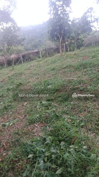 For Sale - Non-Bumi,Dusun Durian,Jalan Konkrit-Kuala Kubu,Selangor