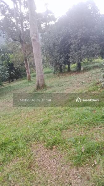 For Sale - Non-Bumi,Dusun Durian,Jalan Konkrit-Kuala Kubu,Selangor