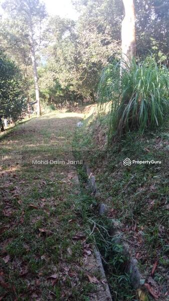 For Sale - Non-Bumi,Dusun Durian,Jalan Konkrit-Kuala Kubu,Selangor