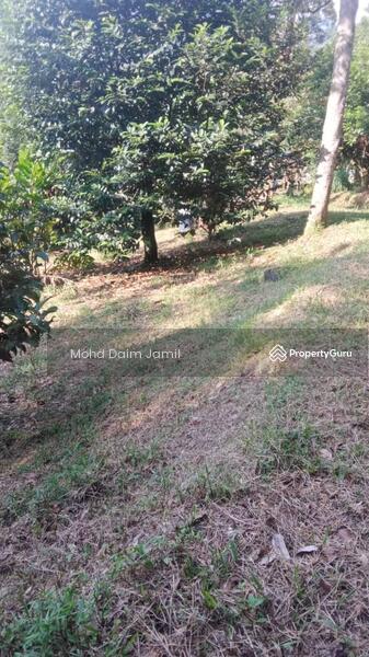 For Sale - Non-Bumi,Dusun Durian,Jalan Konkrit-Kuala Kubu,Selangor