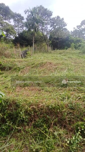 For Sale - Non-Bumi,Dusun Durian,Jalan Konkrit-Kuala Kubu,Selangor