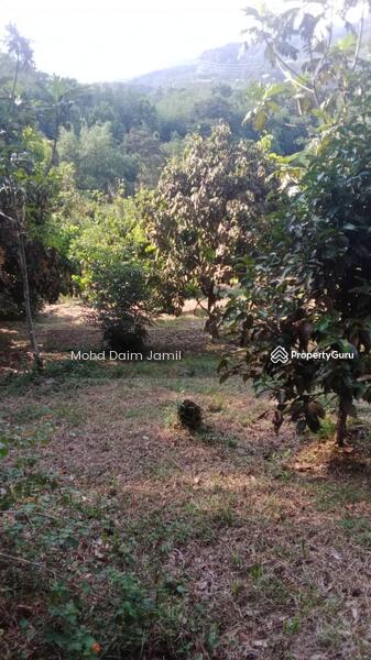 For Sale - Non-Bumi,Dusun Durian,Jalan Konkrit-Kuala Kubu,Selangor