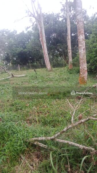 For Sale - Non-Bumi,Dusun Durian,Jalan Konkrit-Kuala Kubu,Selangor